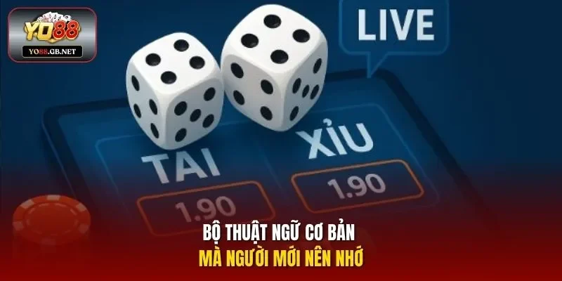 Bộ thuật ngữ cơ bản mà người mới nên nhớ