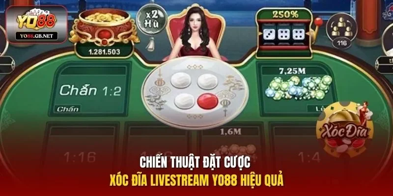 Chiến thuật đặt cược xóc đĩa livestream Yo88 hiệu quả