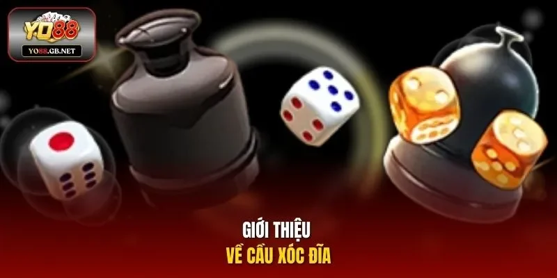 Giới thiệu về cầu xóc đĩa