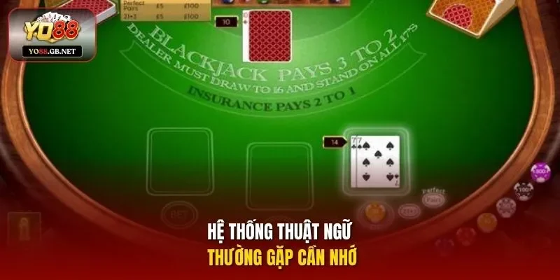 Hệ thống thuật ngữ thường gặp cần nhớ