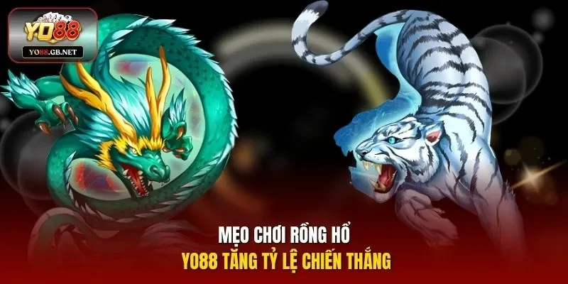 Mẹo chơi Rồng Hổ Yo88 tăng tỷ lệ chiến thắng