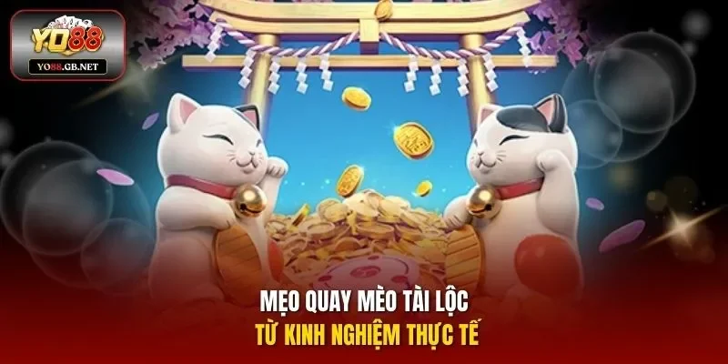 Mẹo quay Mèo Tài Lộc từ kinh nghiệm thực tế