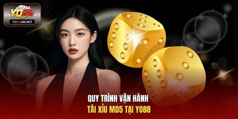 Quy trình vận hành Tài Xỉu MD5 tại Yo88
