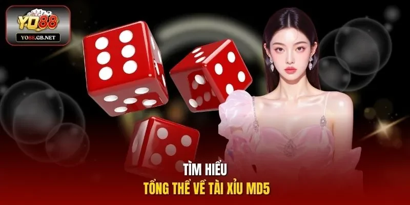 Tìm hiểu tổng thể về Tài Xỉu MD5
