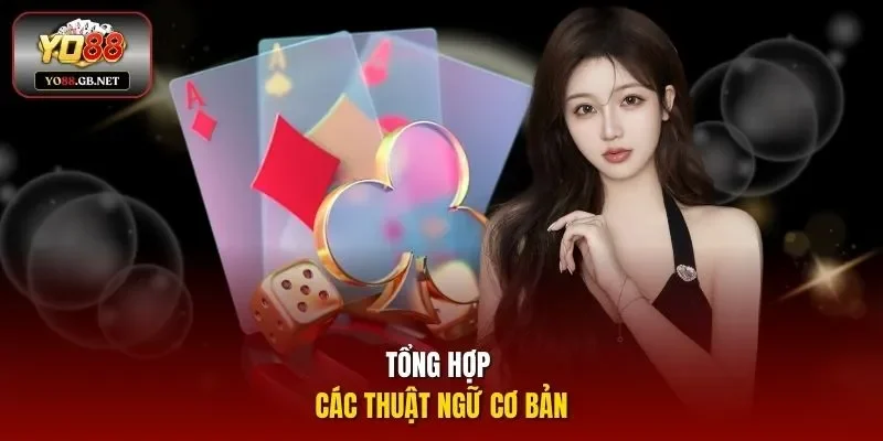 Tổng hợp các thuật ngữ cơ bản